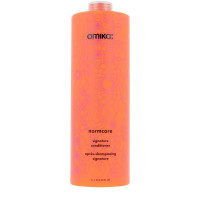 Amika Normcore Signature Condicionador Antioxidante