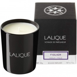 Lalique Figuier Amalfi Candle  Lalique Figuier Amalfi Candle