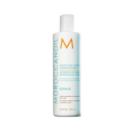 Moroccanoil Moisture Repair Conditioner Moroccanoil Moisture Repair Conditioner