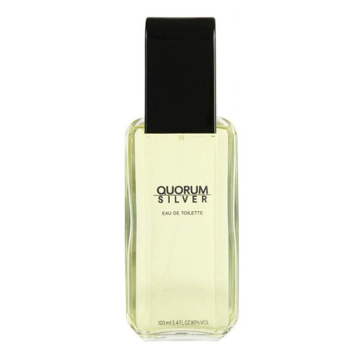 Perfumes para Homens Puig perfume Quorum Silver comprar Puig perfume Quorum Silver com bom preço em Portugal